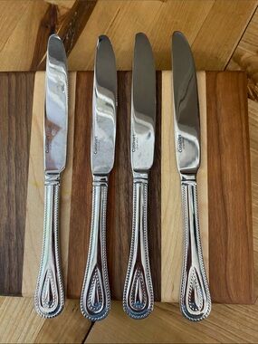 Set of 4 Cuisinart Elite FAMPOUX Stainless Dinner Knives Glossy Beaded 9-1/4